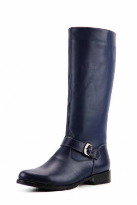 Сапоги кожаные синие